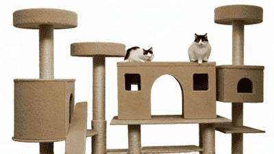 Comparison of the Top Cat Trees: A Guide to the Best Options for Your Feline