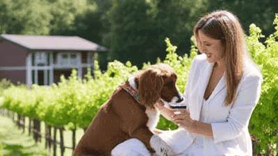 Exploring Pet-Friendly Wineries: Sip and Savor with Your Canine Companion